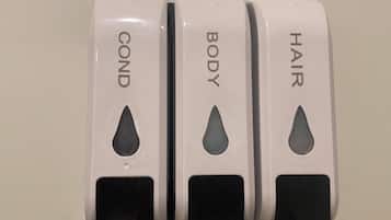Ducha, secador de pelo, toallas, jabón
