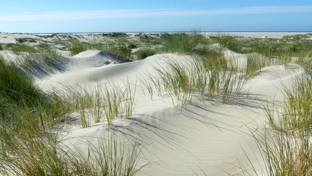 Praia