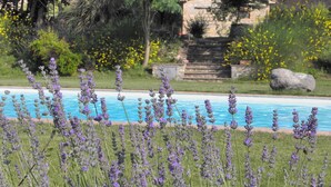 Una piscina circondata da piante di lavanda e un edificio in pietra con delle scale che vi conducono.