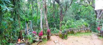 耶爾考德iSTAYS - Loop Road