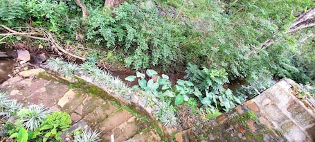 Vista desde la propiedad