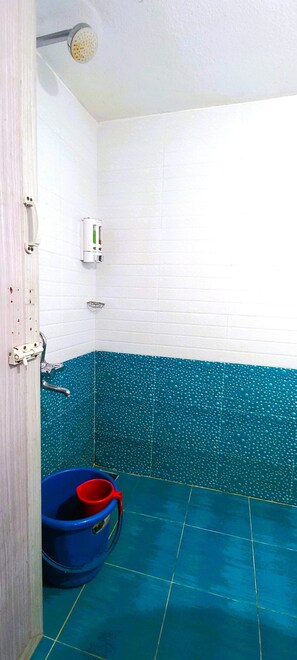 Family Room | Bathroom | Shower, towels, shampoo, toilet paper