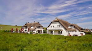 Deux maisons traditionnelles aux toits de chaume, situées dans un champ herbeux.