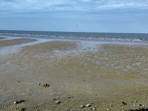 Una playa cerca