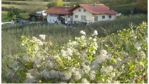 Una casa de dos pisos amb un teulat vermell, envoltada de verdura abundant i un camp.