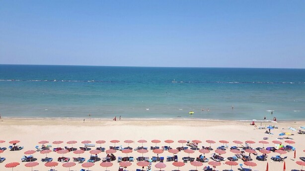 A beach with rows of sun umbrellas and lounge chairs facing the ocean. - Hotel Spiaggia D'Oro (Mondolfo)