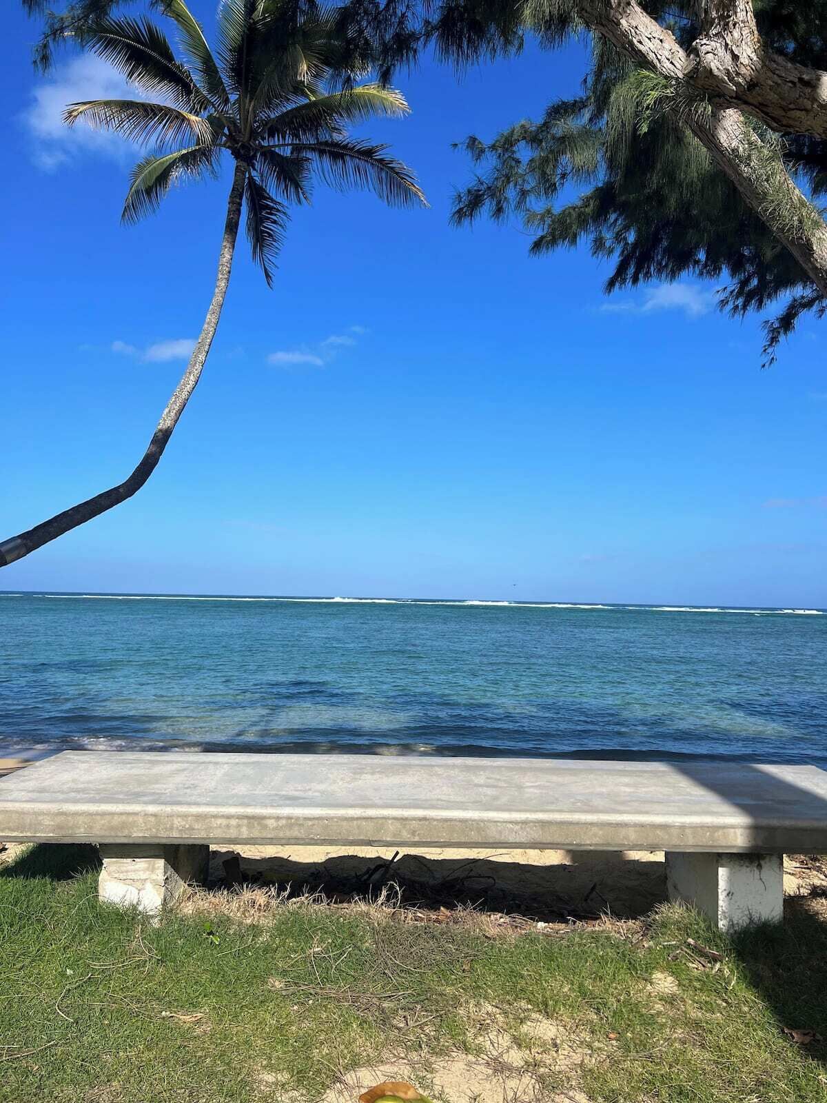 On the beach, sun loungers, beach towels
