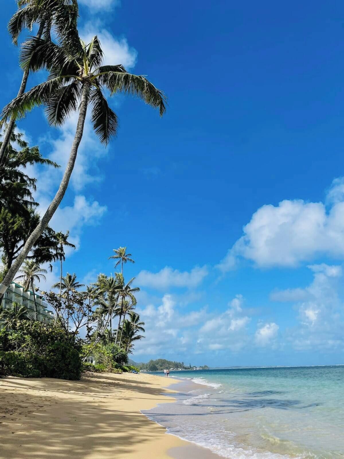 On the beach, sun loungers, beach towels