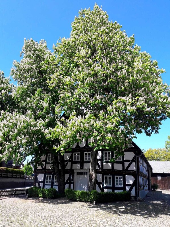 Exterior - An authentic and characterful renovated vacation home near Winterberg. (Küstelberg)