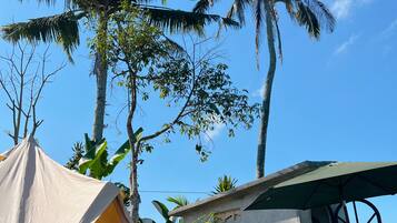 Facciata della struttura