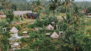 Et frodigt, tropisk resort med flere teltlignende bungalows, en swimmingpool og et væld af tropiske planter og træer.