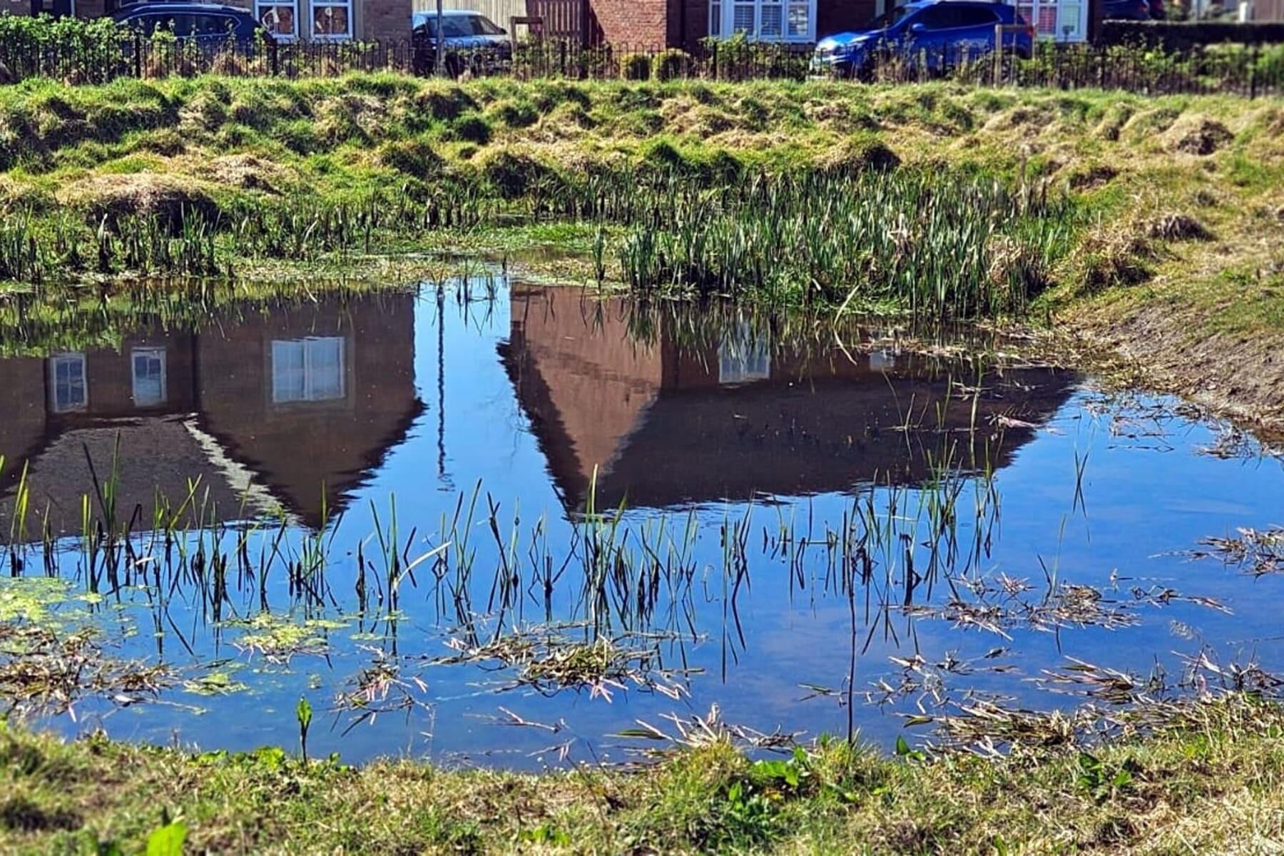 المنطقة المحيطة بالمنشأة