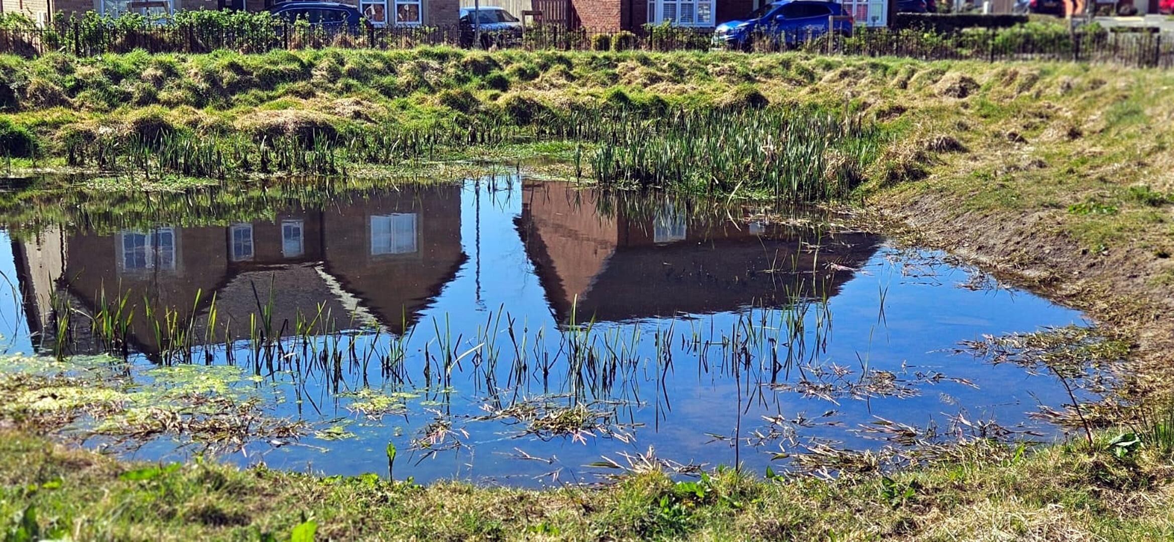 المنطقة المحيطة بالمنشأة