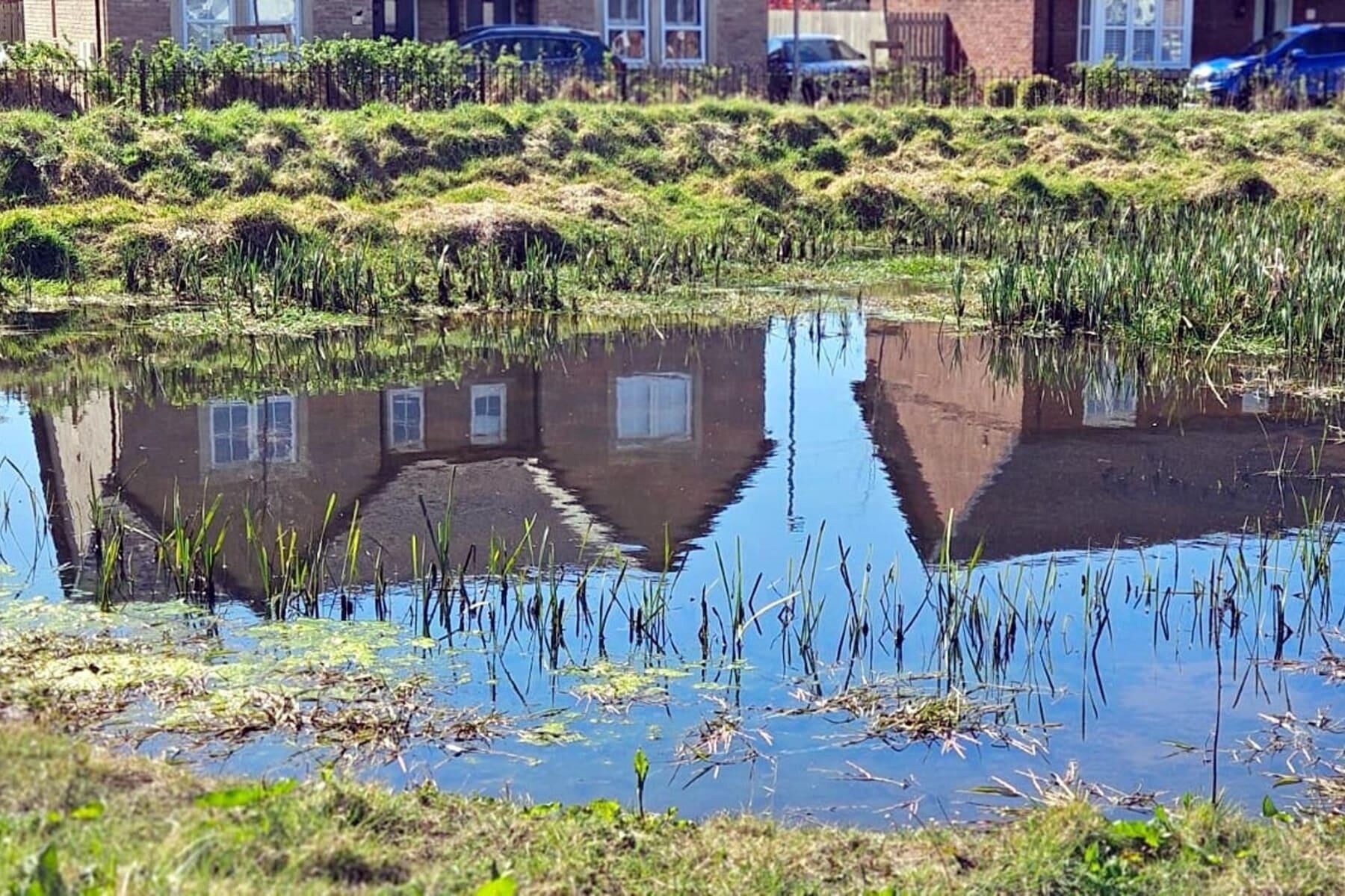 المنطقة المحيطة بالمنشأة
