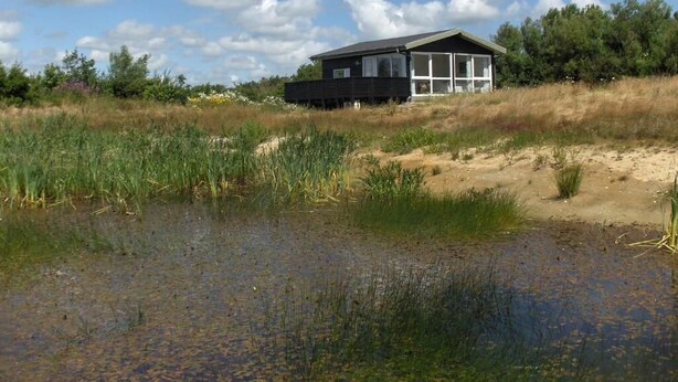 A modern house with large windows, surrounded by a natural landscape with a body of water and grassy areas. - Natur Suiten (Outrup)