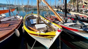 Una marina con varios barcos amarrados.