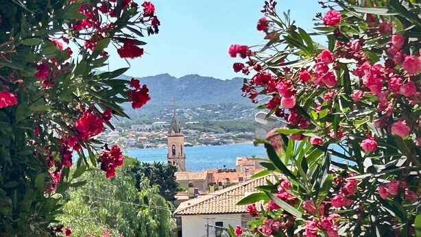 Un pueblo costero con una imponente torre de iglesia, rodeado de exuberante vegetación y vibrantes flores rosadas.