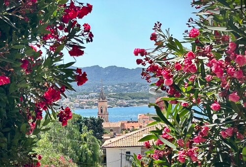 Rez-de-Villa. Beau Jardin Provencal. Au calme à 5 mn du Port Tout Sanary à Pied.