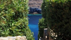 Un sendero que lleva a una zona costera con vistas despejadas al mar y terreno rocoso.