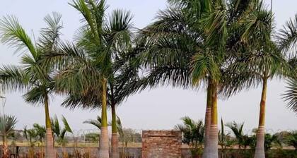 Divyaras Resort