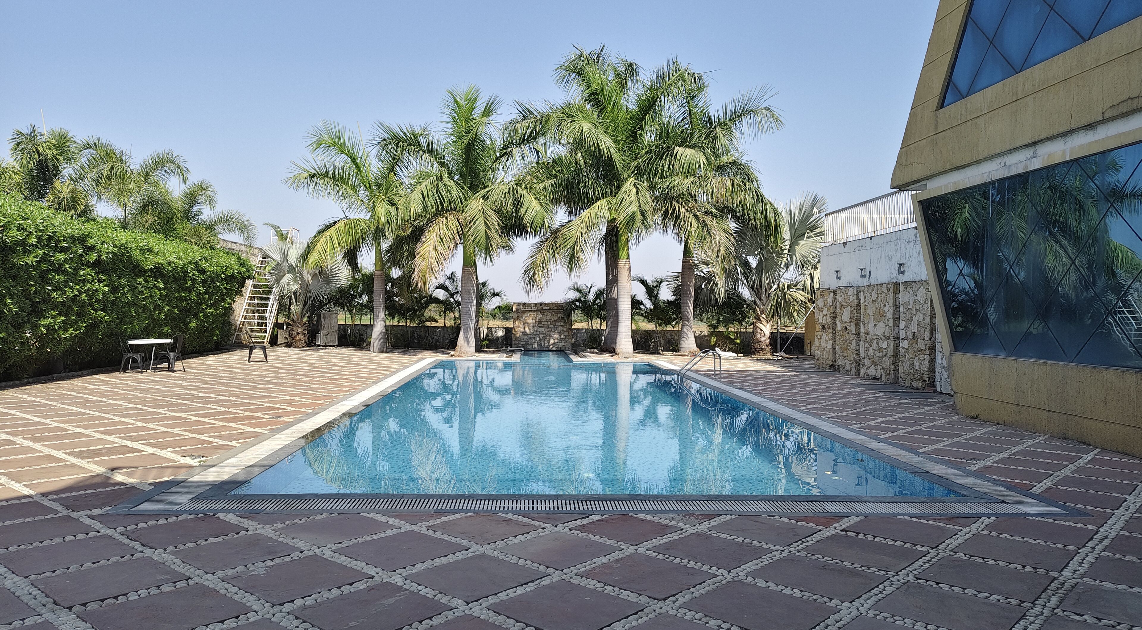 A swimming pool with palm trees and a stone wall.