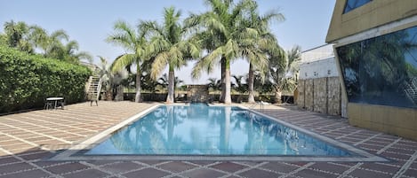 A swimming pool with palm trees and a stone wall.