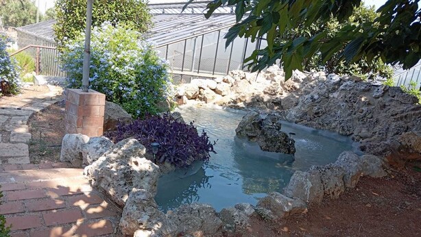 A garden with a small pond, surrounded by rocks and plants. - La Mery Giò House (Fasano)