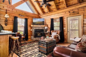 TV, fireplace, books, stereo