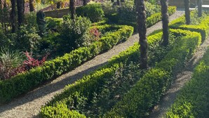 A garden with palm trees and a stone wall. - Castello di Casalborgone - Luxury Castle (Casalborgone)