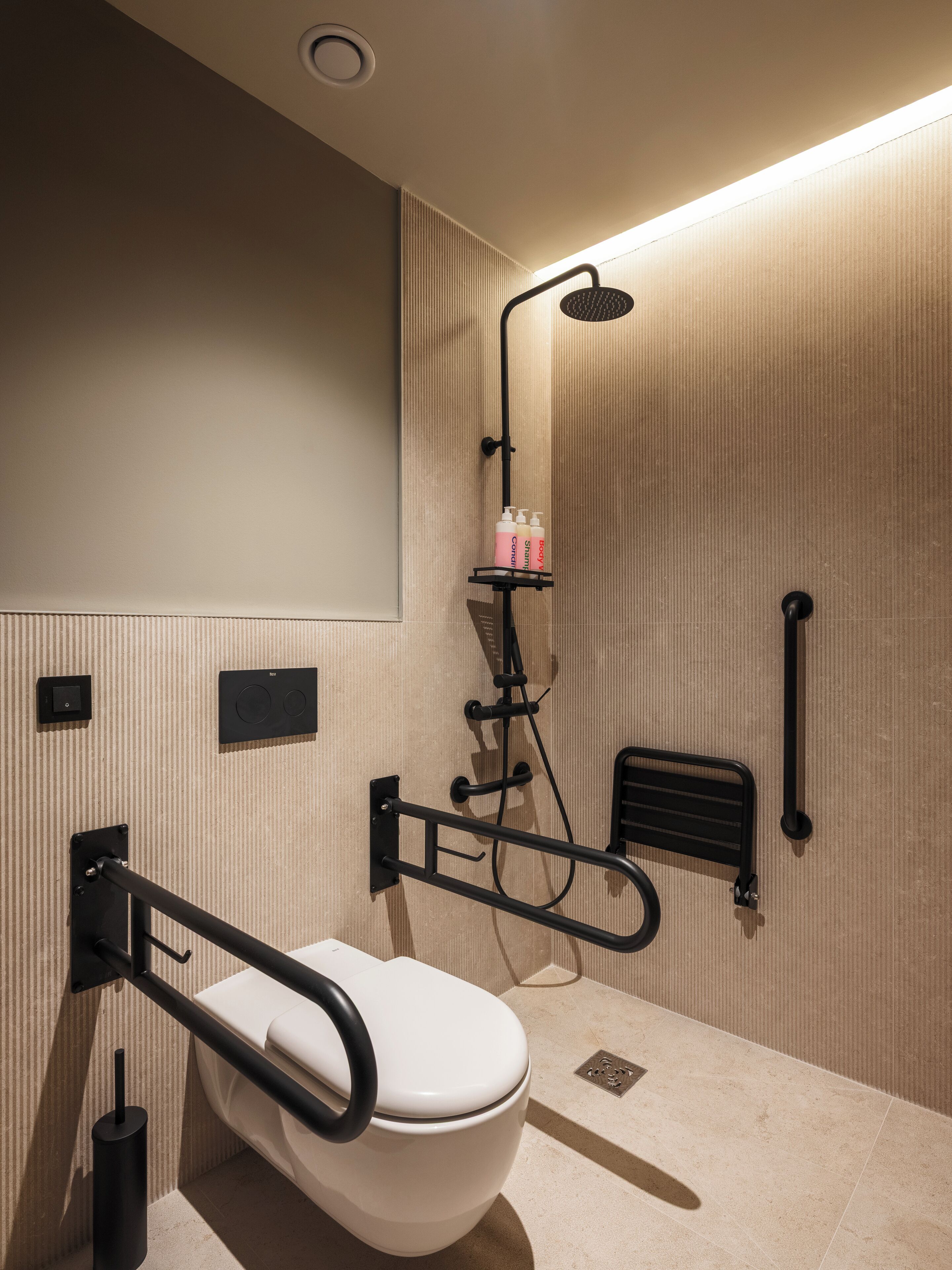 A modern bathroom with a toilet, shower, and handrails.