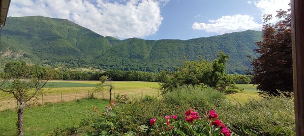 A view of a lush green valley with mountains in the background.