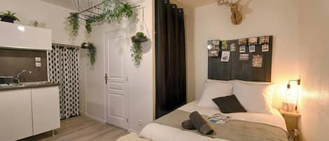 1 chambre, fer et planche à repasser, Wi-Fi, draps fournis