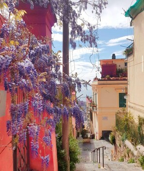 Wisteria vines cascade down historic buildings, set against a Mediterranean-style backdrop.