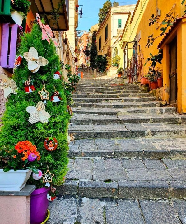 Stroll up the charming street lined with buildings featuring balconies and a beautifully decorated Christmas tree.