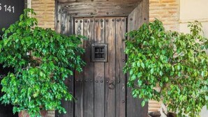 Une porte en bois avec une petite fenêtre, flanquée de deux plantes en pot.