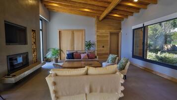 Smart TV, chimenea