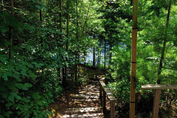 Uklassifisert bilde, 1 av 53, knapp