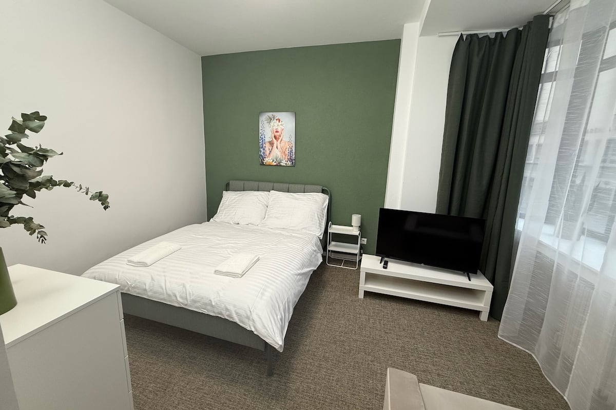 A hotel room with a bed, a TV, a desk, and a plant.