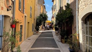 A narrow street lined with traditional buildings, featuring stone facades, shutters, and potted plants.