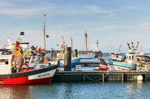 Port de plaisance