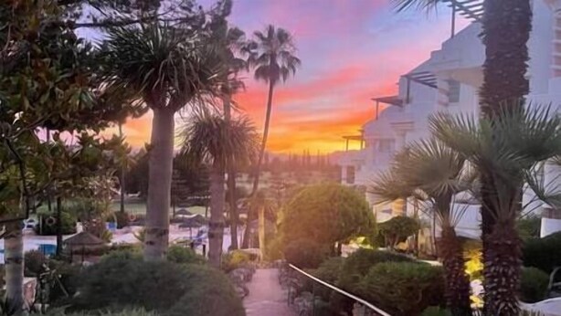 A pathway flanked by palm trees and greenery, leading towards a building with a white facade. - Ground Floor Apartment at Matchroom Country Club (Mijas)