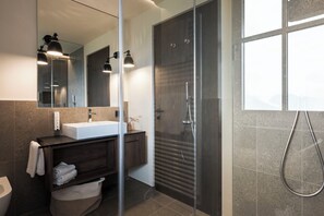 Shower, hair dryer, bidet, towels