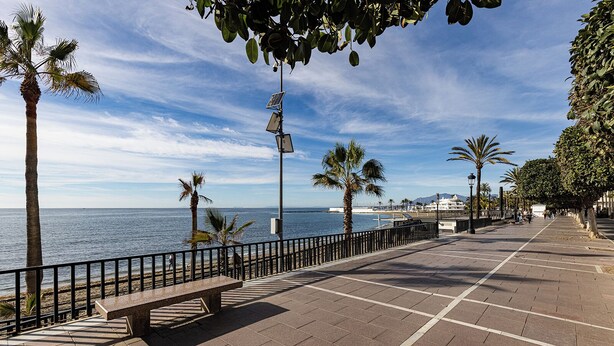 A coastal promenade with a bench, palm trees, and a clear view of the sea.