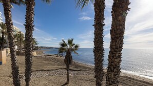A beach with palm trees, a clear sky, and a view of the ocean.