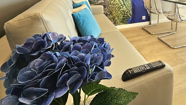 A living room with a peacock mural, a sofa, a coffee table, and a remote control. - Apartament Pawie Oczko - 365PAM (Kolobrzeg)