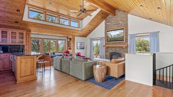 TV connectée, cheminée, livres