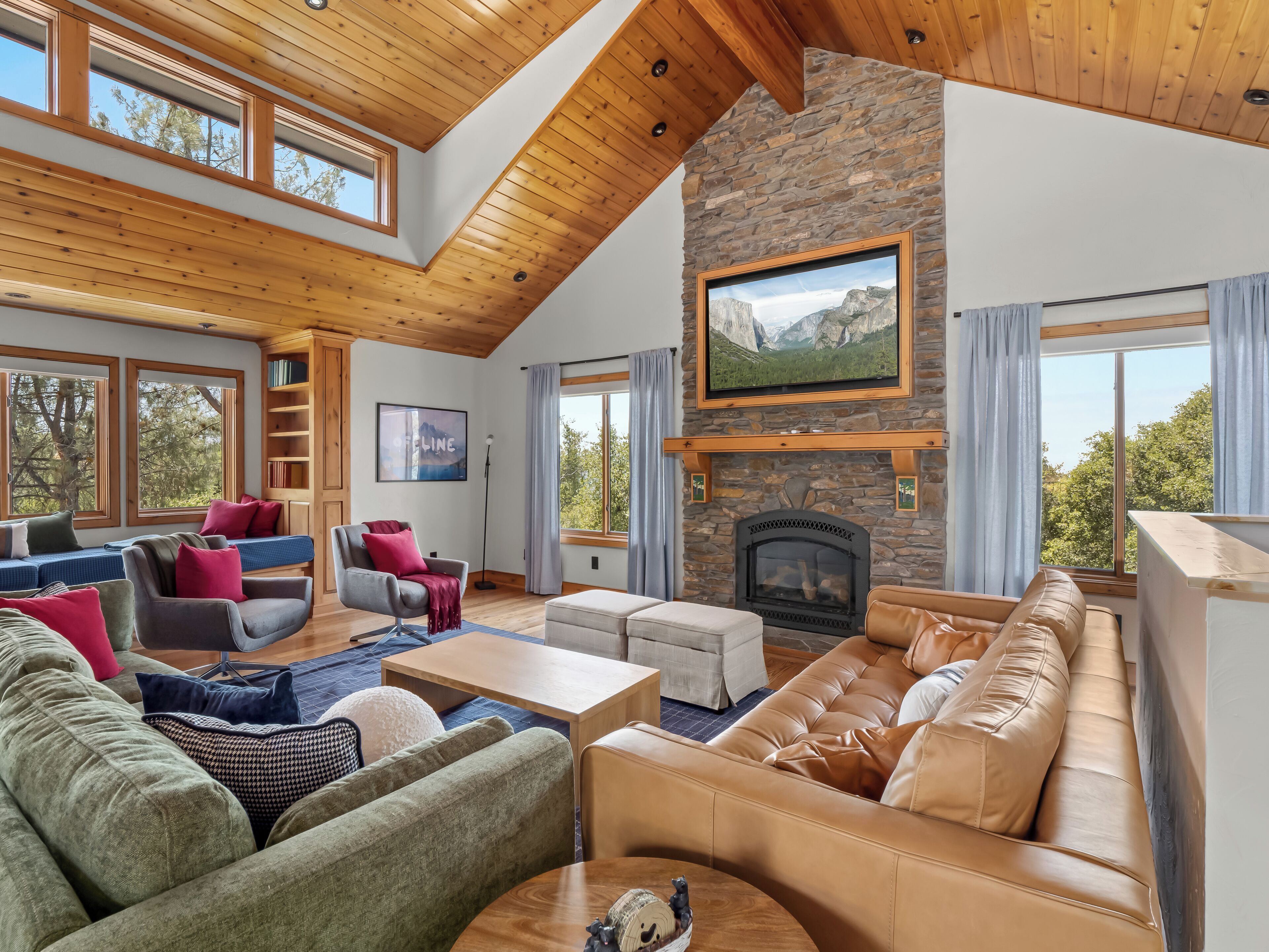 Smart TV, fireplace, books