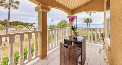 Watch Dolphins: St Augustine Gem Near Downtown!