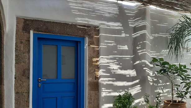 Une porte bleue avec une fenêtre, un mur à texture et deux plantes en pot.