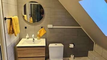 Shower, towels, toilet paper